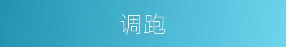 调跑的同义词
