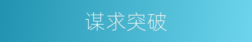 谋求突破的同义词