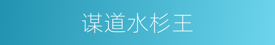谋道水杉王的同义词