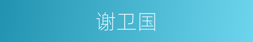 谢卫国的同义词