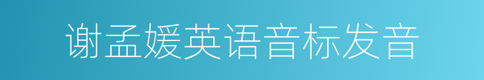 谢孟媛英语音标发音的同义词