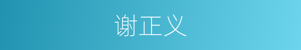 谢正义的同义词