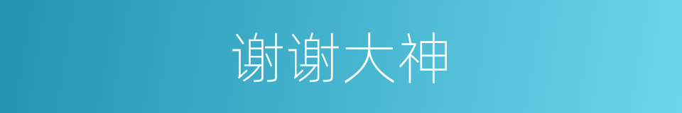 谢谢大神的同义词