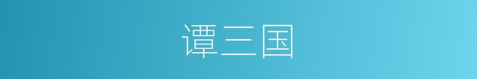 谭三国的同义词