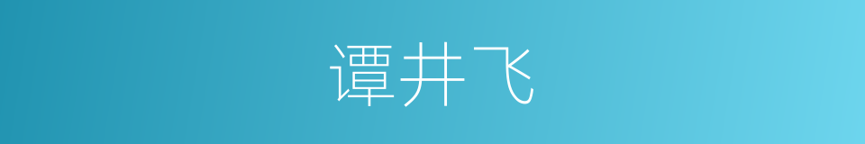 谭井飞的同义词