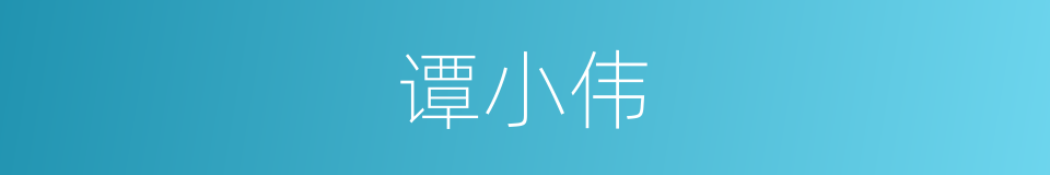 谭小伟的同义词
