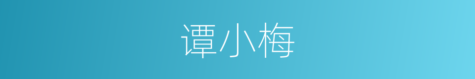 谭小梅的同义词