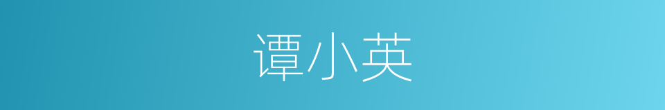谭小英的同义词