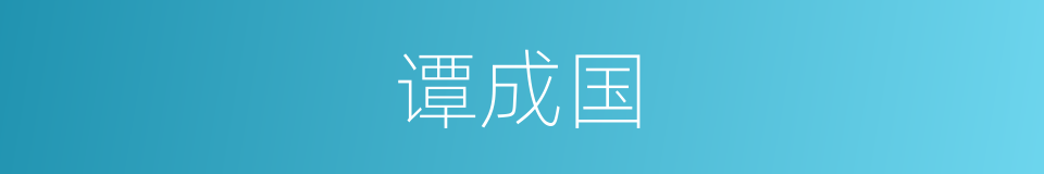 谭成国的同义词