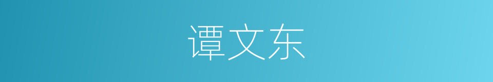 谭文东的同义词