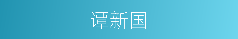 谭新国的同义词