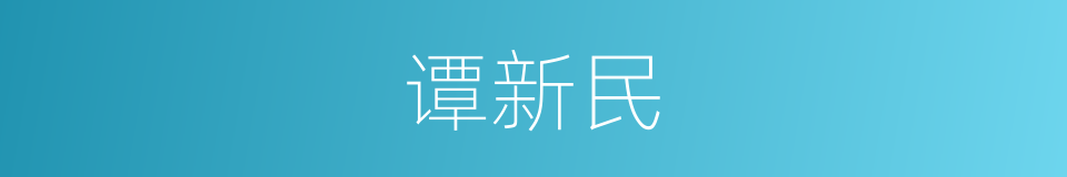 谭新民的同义词