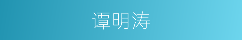 谭明涛的同义词