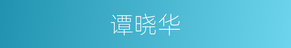 谭晓华的同义词