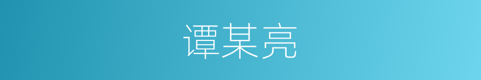 谭某亮的同义词