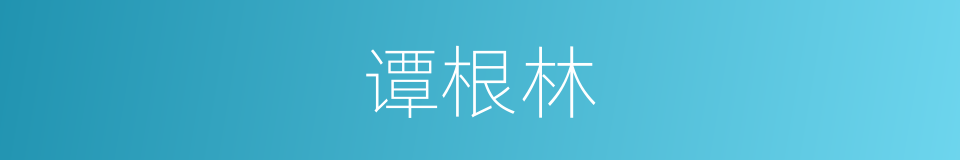 谭根林的同义词