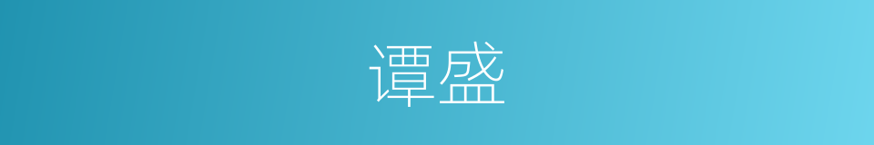 谭盛的同义词