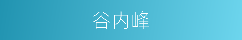 谷内峰的同义词
