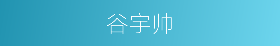 谷宇帅的同义词