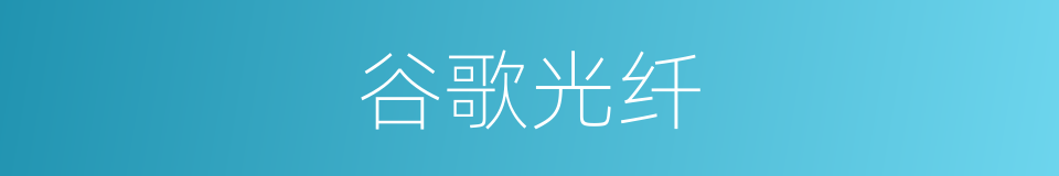 谷歌光纤的同义词