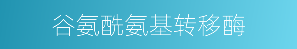 谷氨酰氨基转移酶的同义词