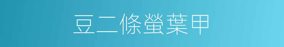 豆二條螢葉甲的同義詞