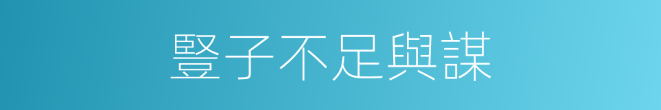 豎子不足與謀的意思