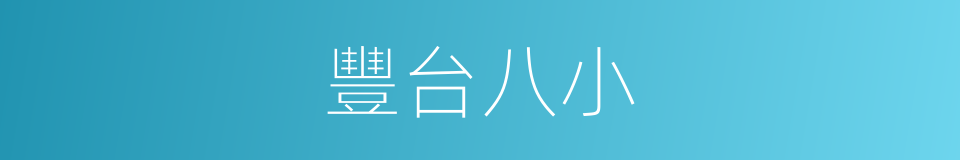 豐台八小的同義詞