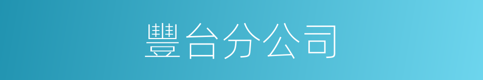 豐台分公司的同義詞