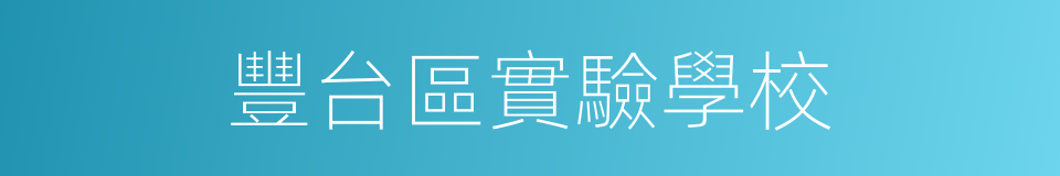 豐台區實驗學校的同義詞
