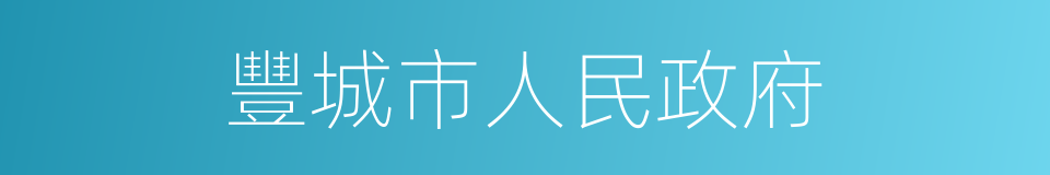 豐城市人民政府的同義詞