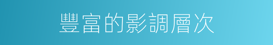 豐富的影調層次的同義詞