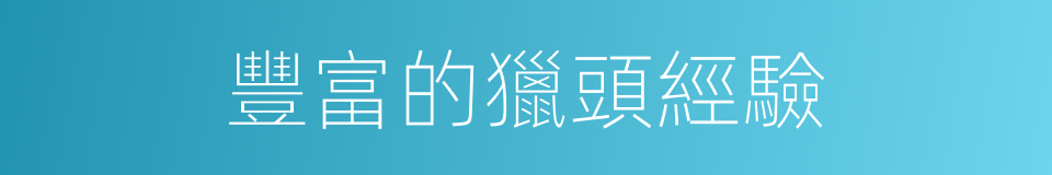 豐富的獵頭經驗的同義詞