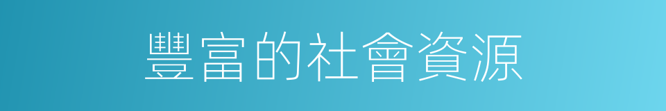 豐富的社會資源的同義詞