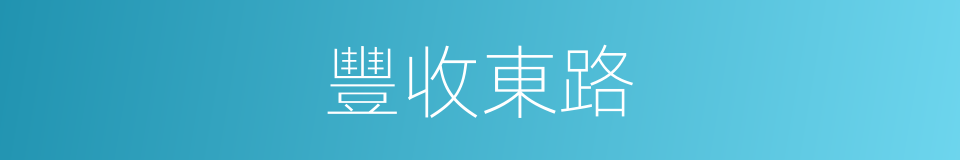 豐收東路的同義詞
