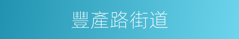 豐產路街道的同義詞