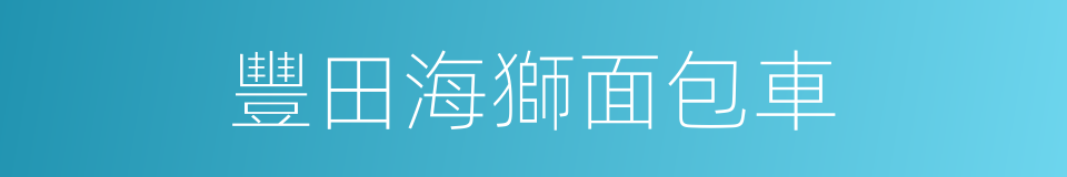 豐田海獅面包車的同義詞