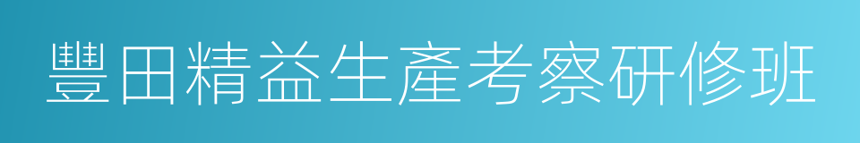 豐田精益生產考察研修班的同義詞