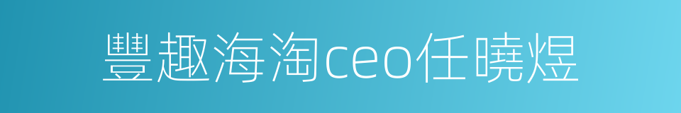 豐趣海淘ceo任曉煜的同義詞