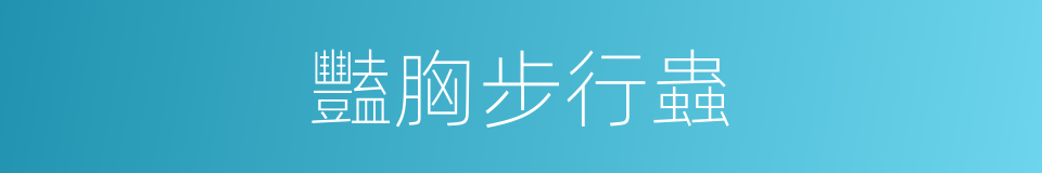 豔胸步行蟲的同義詞
