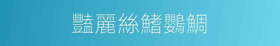豔麗絲鰭鸚鯛的同義詞