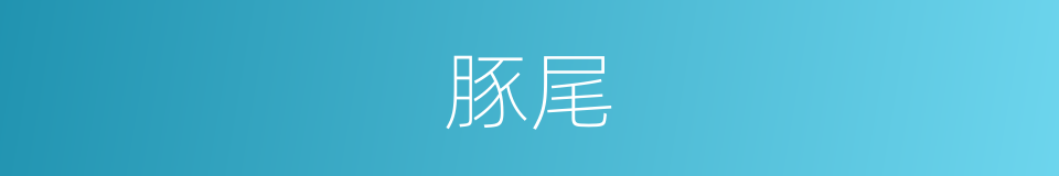 豚尾的意思