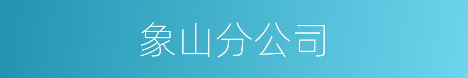 象山分公司的同义词