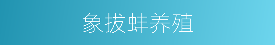 象拔蚌养殖的同义词