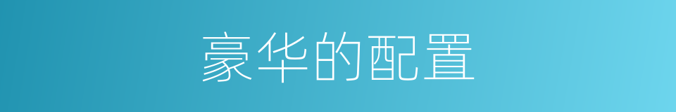 豪华的配置的同义词