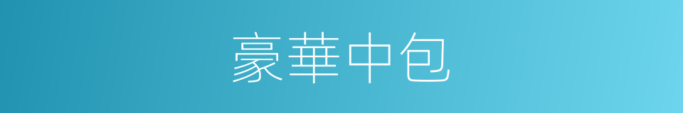 豪華中包的同義詞
