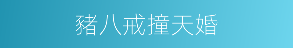 豬八戒撞天婚的同義詞