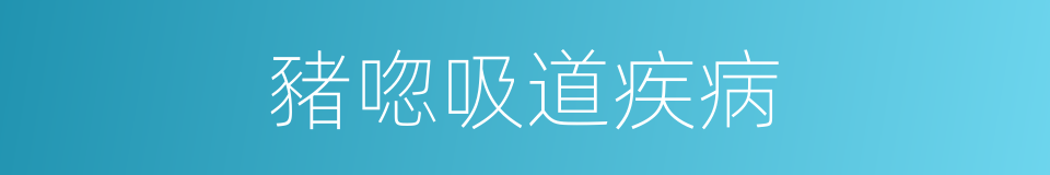 豬唿吸道疾病的同義詞
