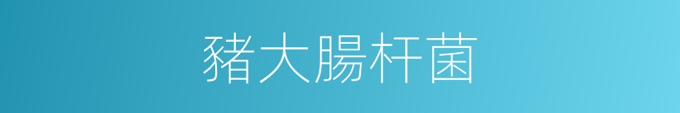 豬大腸杆菌的同義詞