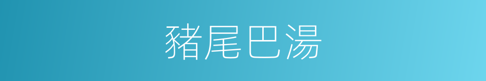 豬尾巴湯的同義詞